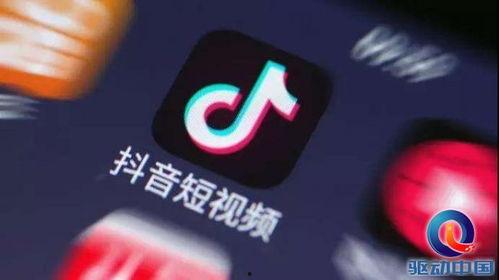 抖音新闻线索爆料奖励,揭秘平台激励机制，助力优质内容创作！