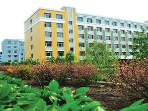 吉林农业大学生爆料视频,揭露校园内幕，真相令人震惊！