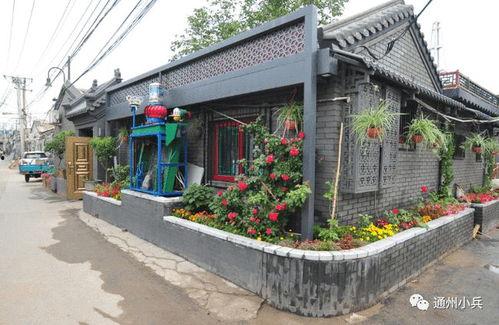 奥比岛2025年最新爆料宠物,神秘生物引领潮流